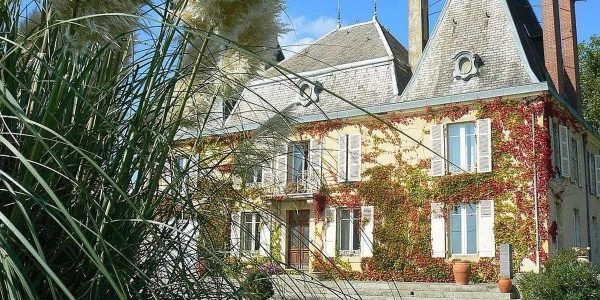 Old Villa Covered in Vines