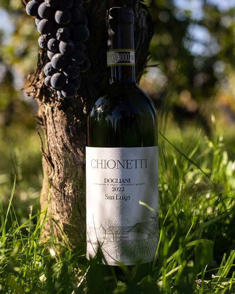 Chionetti San Luigi Dogliani DOCG 2021 (Dolcetto) - Image 2